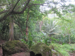 Kanealole Trail 